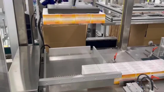 Máquina de embalaje de cajas de papel desechables Máquina de embalaje de cajas de cartón vertical completamente automática